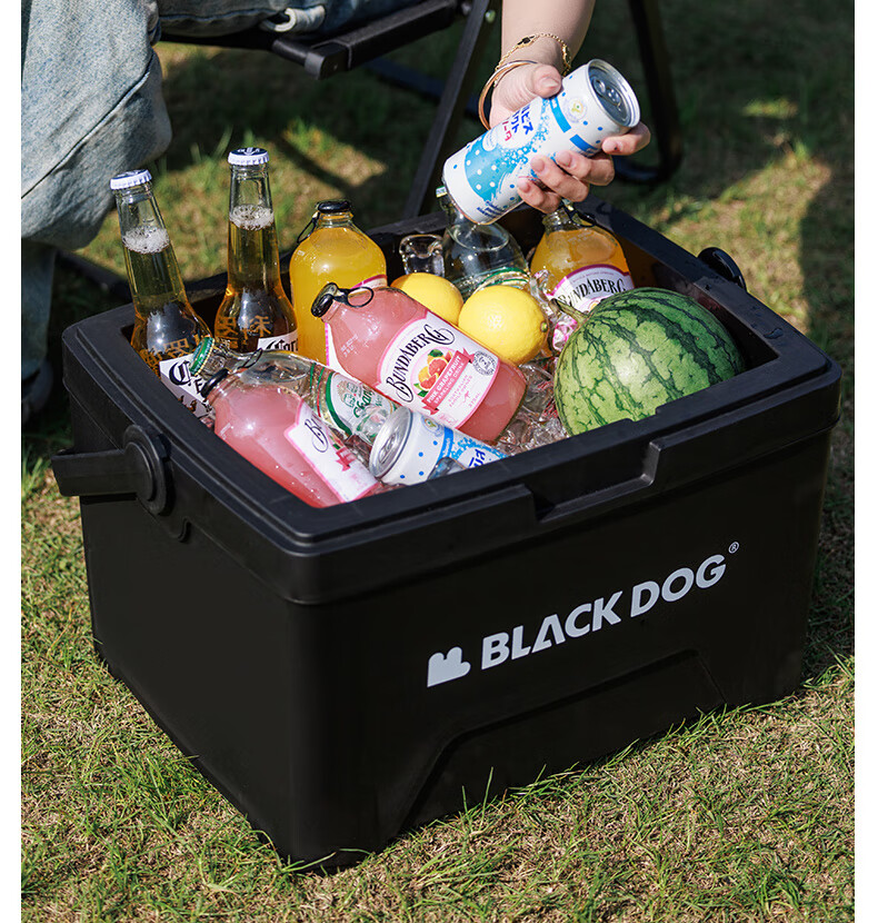 Black Dog Outdoor Cooler Box for Camping, Picnic, Cold Storage, Food Preservation, Takeout And Fishing, 25L Night Black 14