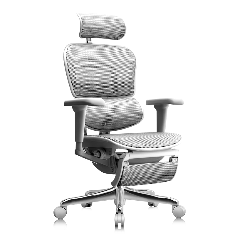 Ergonor Baoying/Yuedong Ergonomic Chair, Lumbar Support Office Chair, Computer Chair, Silver White + Reclining Comfort