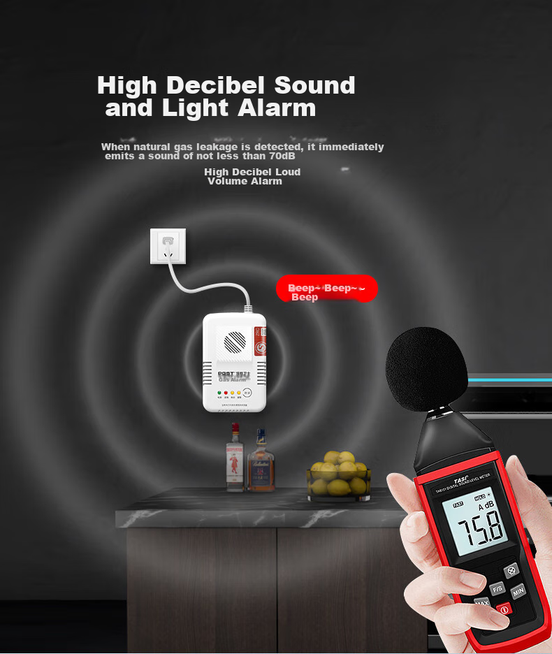 PGST Gas Alarm, Natural Gas Detector, Coal Gas Leak Alarm, Household Kitchen Natural Gas Detector, R03 9