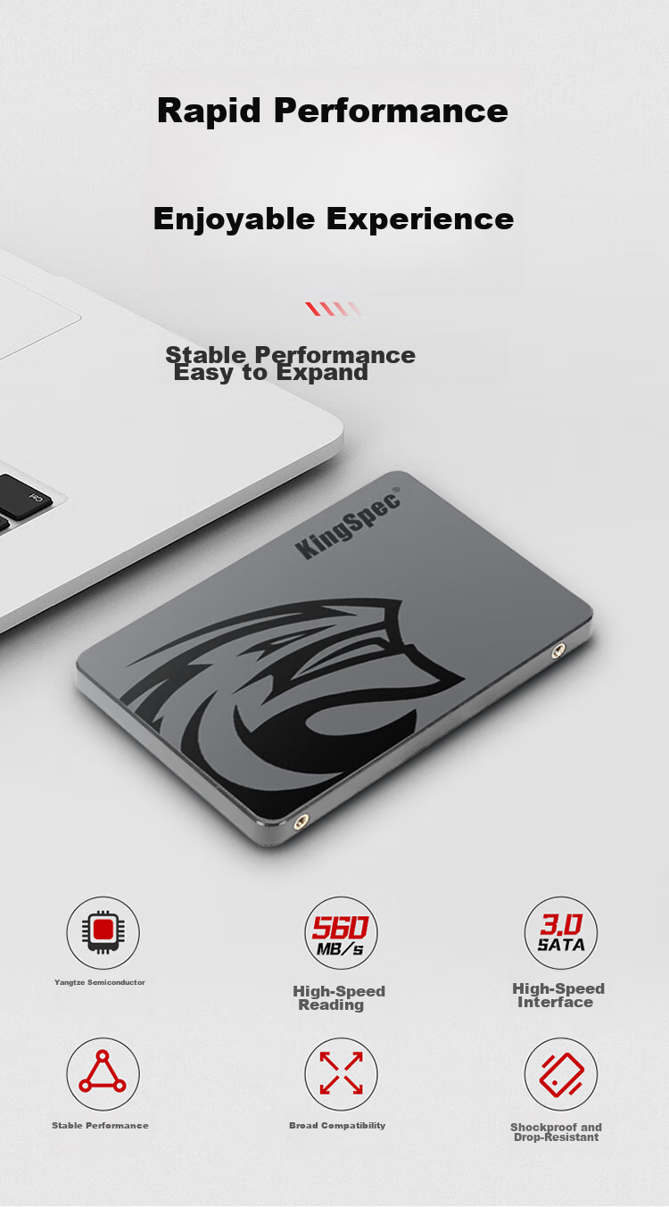 KingSpec 256GB SSD, SATA 3.0 Interface, 2.5-Inch, TLC Selected NAND, Read Speed 500MB/s, Compatible with Desktop/laptop 2