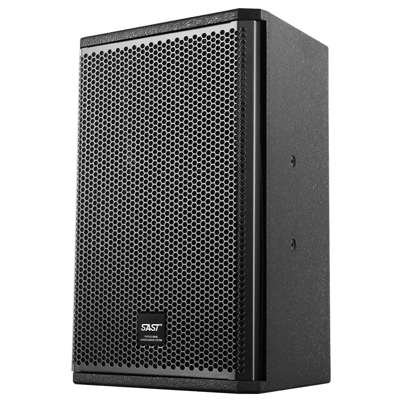 SAST KP15V Professional Stage Speaker, 15-Inch Large Conference Room KTV Booth Outdoor Event Wedding Passive Speaker, Single Unit