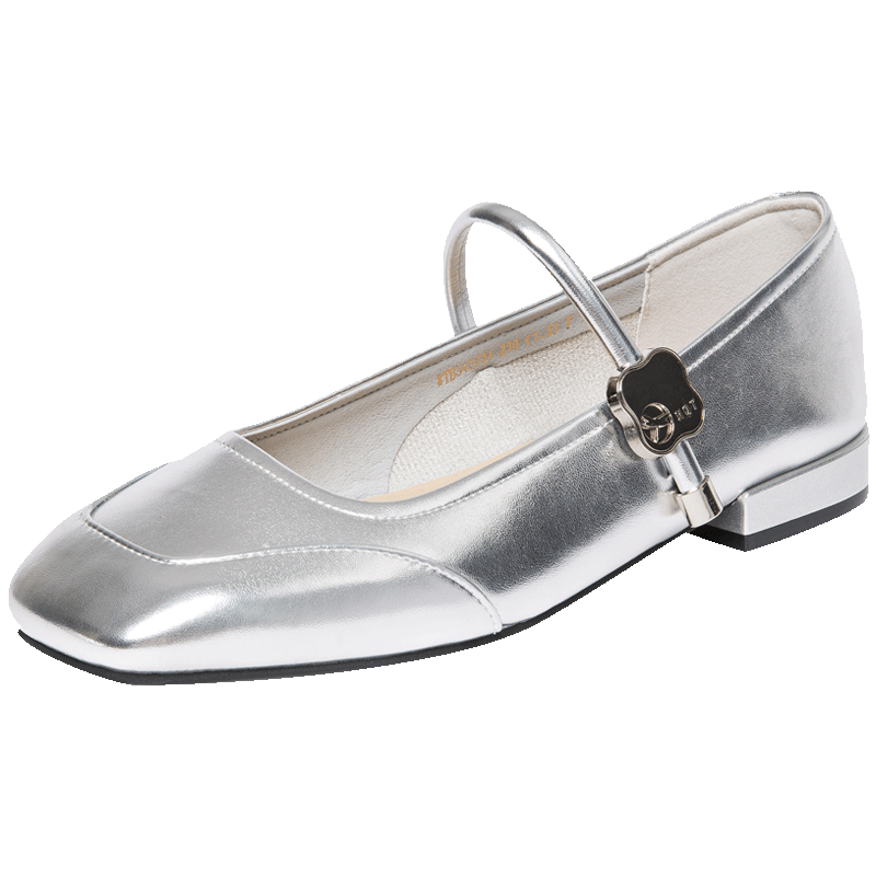RED DRAGONFLY Vintage Mary Jane Shoes, Spring And Summer Shallow Mouth Flat Heel Women's Shoes, French Square Toe Soft Sole Wedding Shoes for Women, WTB34373, Silver, Size 40