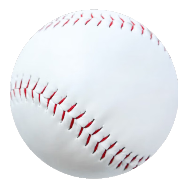 Huashimeng Soft And Hard Baseball for Primary School Students, 10-Inch Standard for Middle School Entrance Exam, Sports Meet Competition Training Throwing Ball Toy