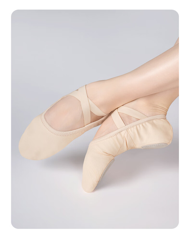 Aiwuge Professional Dance Shoes for Women, Soft-Soled Practice Shoes, Elastic Ballet Shoes, Teacher's Cat Paw Shoes, Ballet Pink, Size 35 5