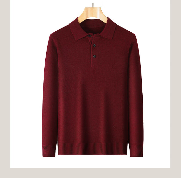 Antonio 600g Heavyweight Thickened 100% Wool Sweater Business Casual Men's Polo Shirt Autumn Winter Thick Knitwear 3