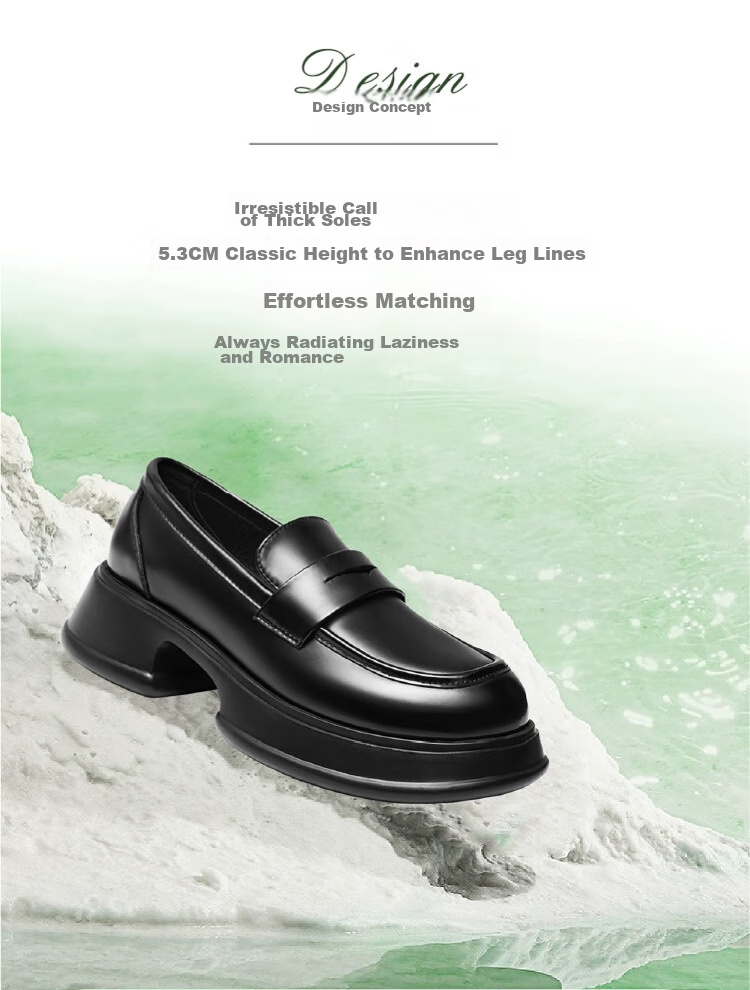 RED DRAGONFLY Slip-On Loafers, Spring And Autumn Thick-Soled Heightening Women's Flats, Academic Style JK Women's Shoes, WLB24643, Black, Size 39 2
