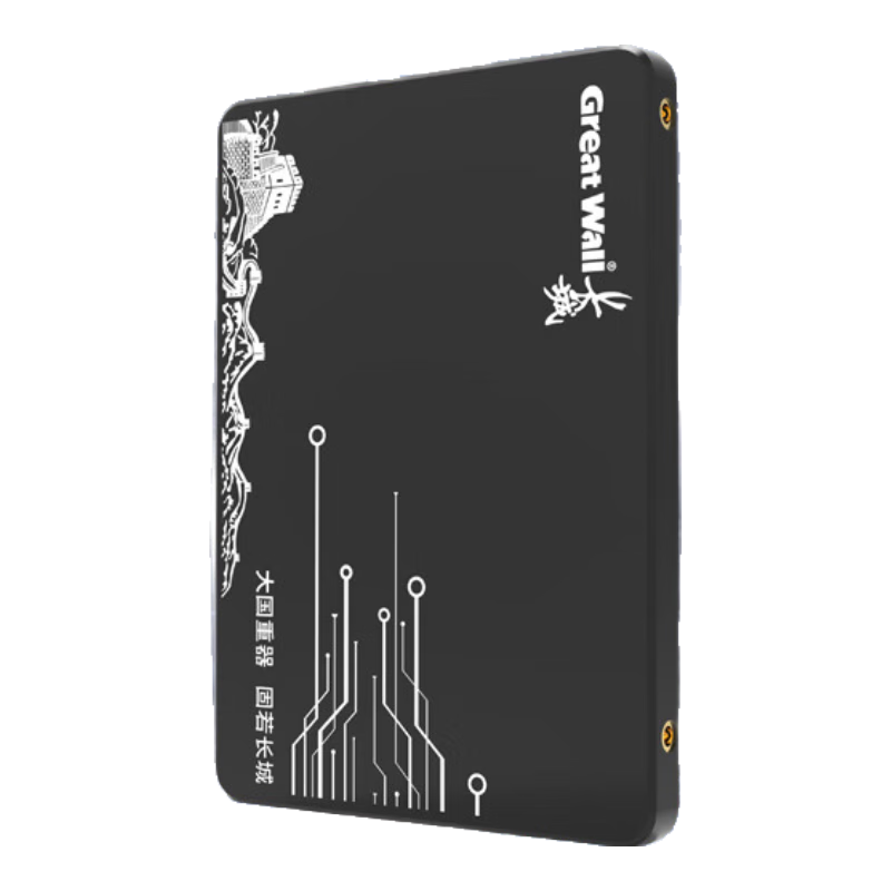 Great Wall 240GB SSD Solid State Drive, SATA3.0 Interface, Read Speed 520MB/s, Compatible with Desktop/laptop, GW520 Series