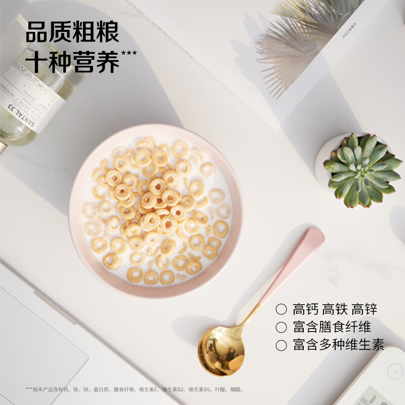 雀巢（Nestle）进口脆谷乐儿童零食500g谷物圈儿童麦片早餐即食非油炸全谷物