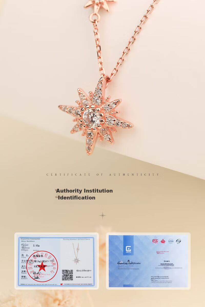 MANHE S925 Silver Necklace for Women, 2026 New Style Pendant Jewelry, Practical Birthday Gift for Wife Or Girlfriend 7