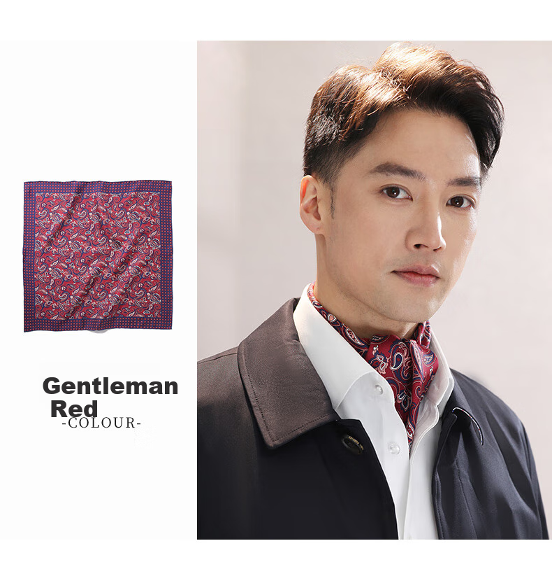 Hangsifu Silk Scarf, Square Scarf, Neck Warmer, Business Casual Tie, Gift for Husband Or Father on Birthday Or Holiday, Brow 19