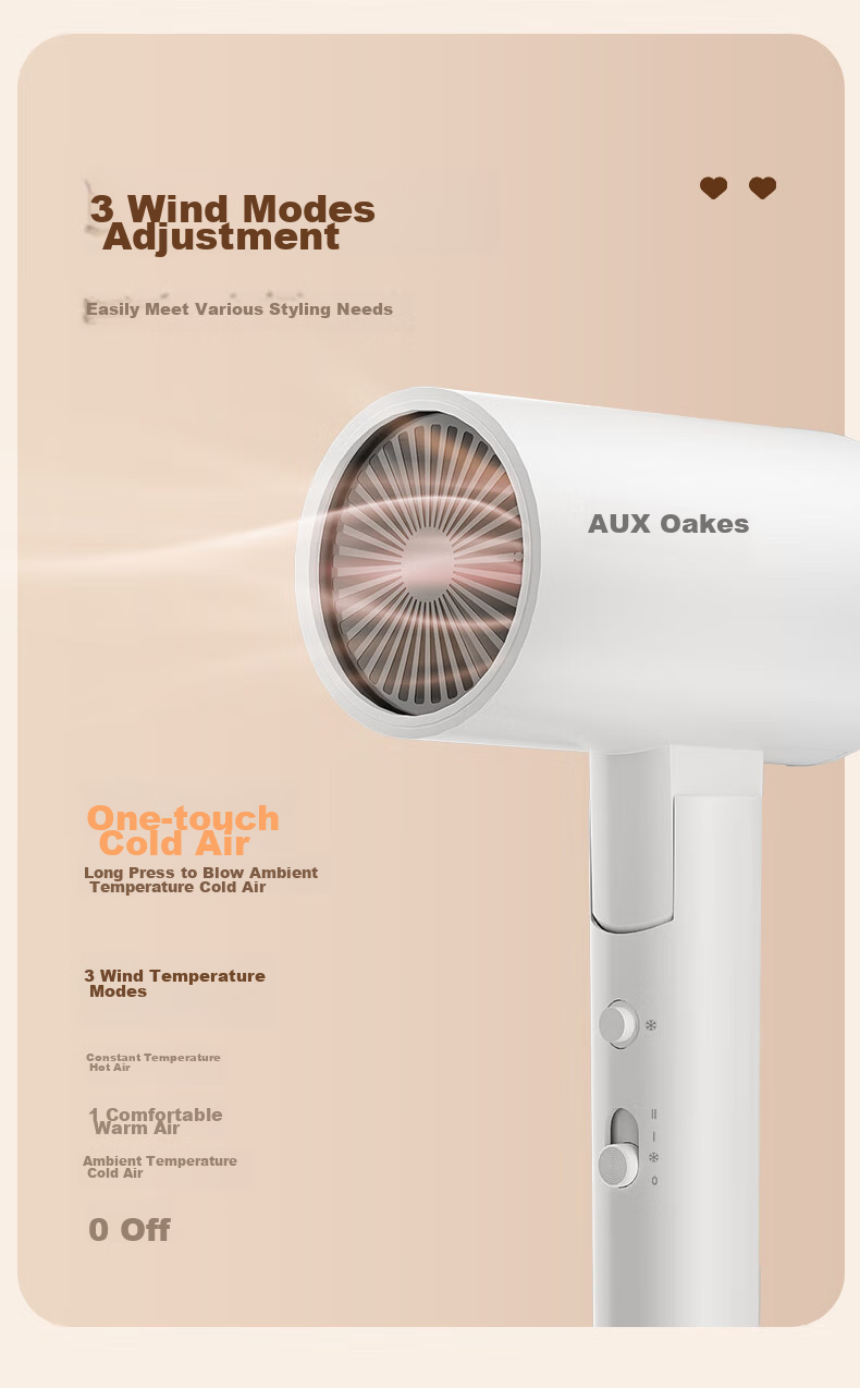 AUX Hair Dryer, High-Power Blue Light Negative Ion Hair Protection Electric Blower, 1800W Large Air Volume Quick-Drying Blow Dryer, Portable Folding Hair Dryer, Gift for Wome 11