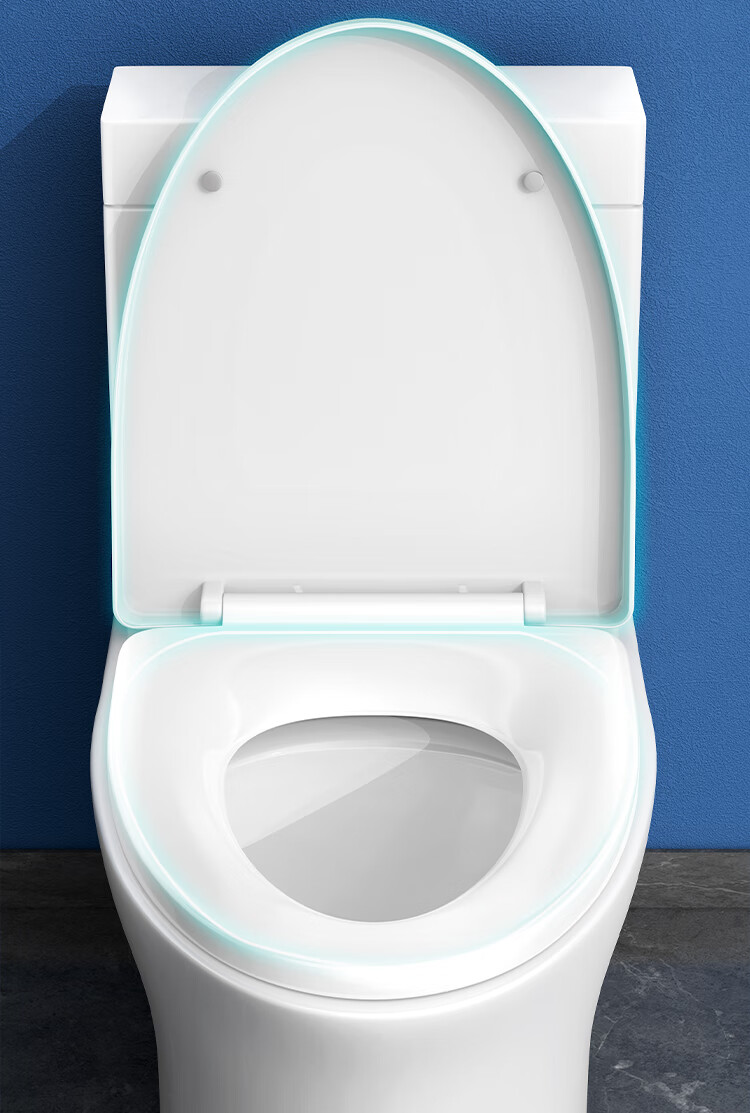 Larsd Toilet Seat, Universal V-Shaped Thickened Toilet Cover Accessory, Old-Style Quick-Release Toilet Ring, Toilet Seat Cover V08 14