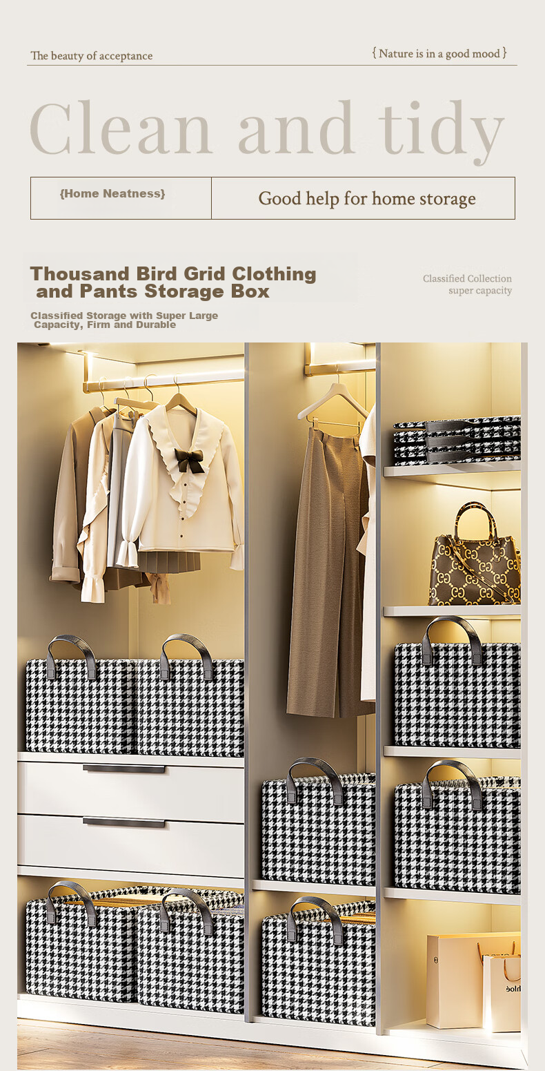 Bangnimeijia Clothes Storage Box, Home Wardrobe, Layered Fabric Storage Container, 1 Piece, 47*28*20 1