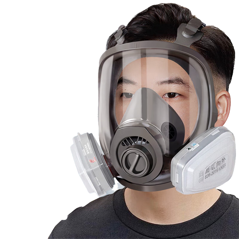 Puda Full Face Self-Priming Gas Mask with Filter Cartridge for Disinfection, Pharmaceutical, Chemical Industries, Protection Against Chlorine, Bromine And Other Inorganic Gases, Industrial Dust MJ-4007 + No. 1 Filter Cartridge Set of Seven Pieces
