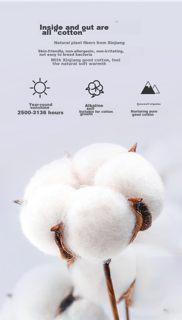 One's Member 100% Natural Xinjiang Cotton Quilt, Pure Cotton Comforter, Winter Thick Warm Blanket, No Mesh, All-Cotton Filling, 2.0x2.3 Meters, 8 Ji 4