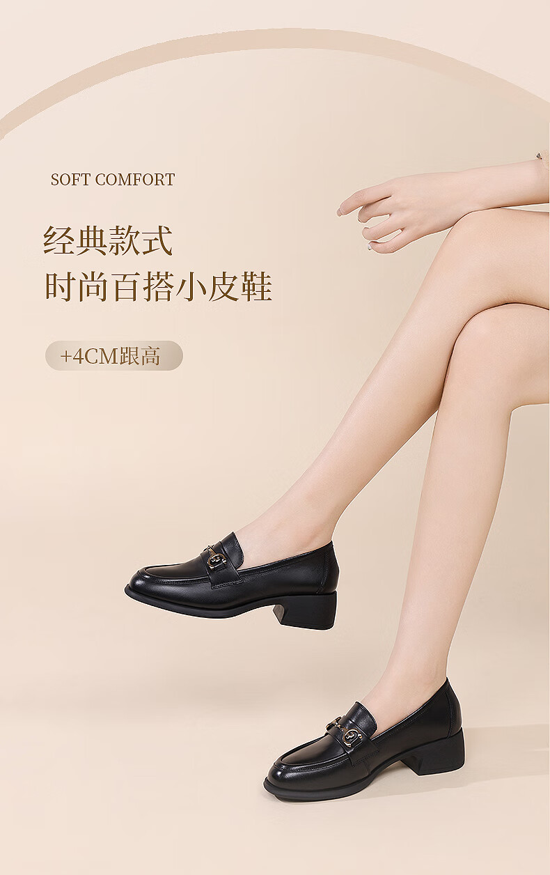 RED DRAGONFLY Women's Loafers, Chunky Heel French Leather Shoes, Versatile Commuter Shoes, Mom's Flats WTB152791 Black Size 36 1