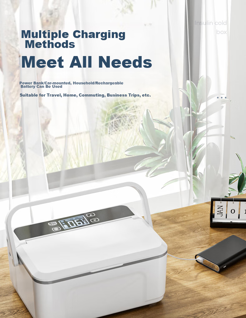 Chaoguo Insulin Cooler Box, Portable Mini Refrigerator, Car Fridge, Growth Hormone Medicine Storage Cooler 16