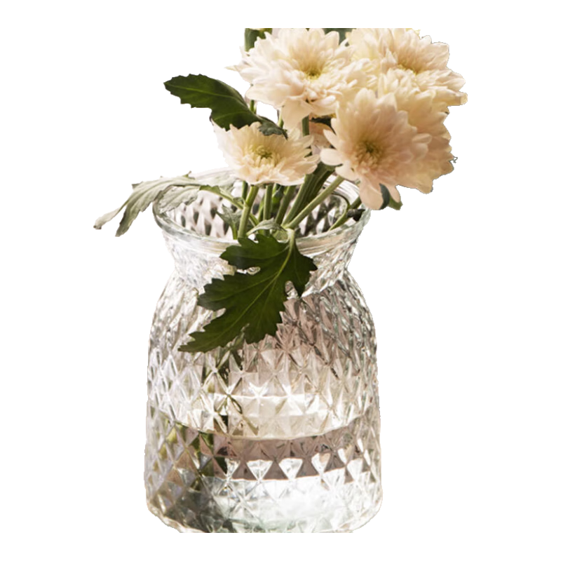 Jidukongjian Glass Vase, Living Room Table Decoration, Hydroponic Planter, Nordic Style Flower Vase, Transparent Vase, Fabric Bag-Shaped