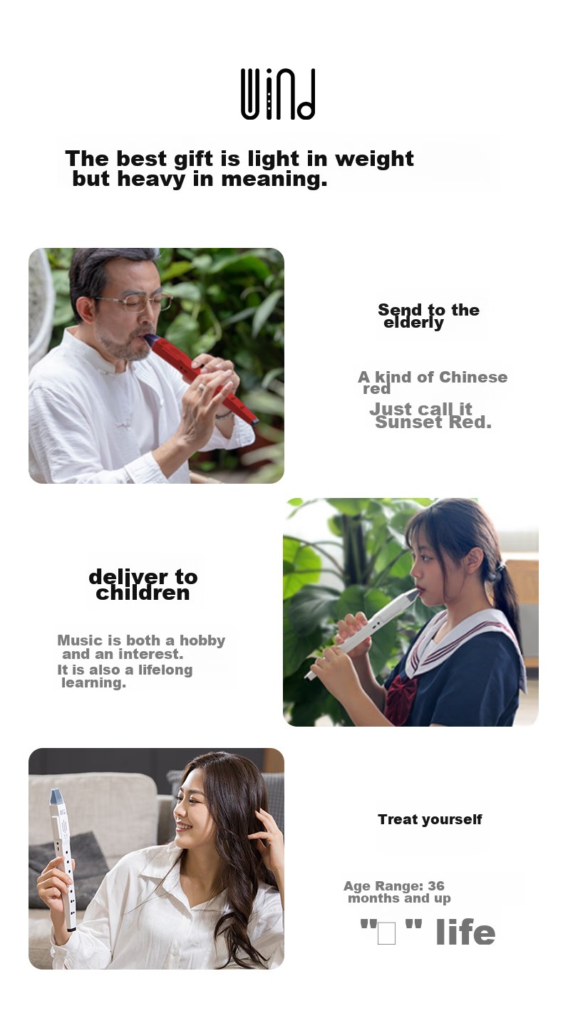 Midiplus Meipai Wandie 2nd Generation Electronic Wind Instrument Black Recorder Saxophone for Elderly Dad Beginners Domestic Musical Instrument 18