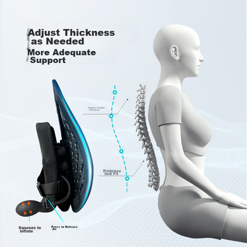 PPW Lumbar Support Ergonomic Back Cushion Car Seat Pillow Office Lumbar Pillow Pad Back Support Brace