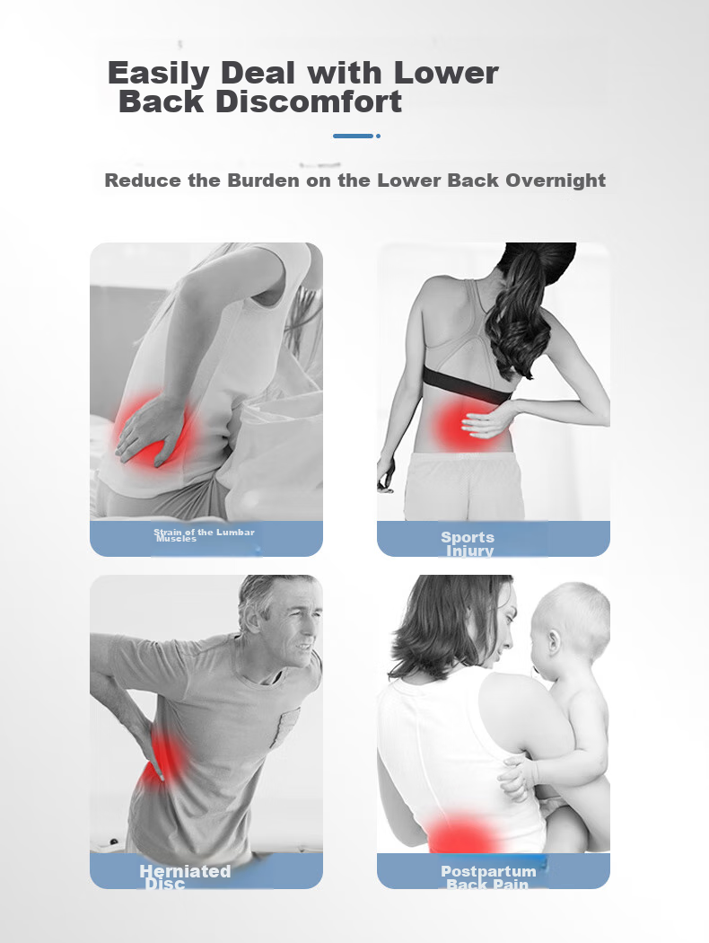 D&M Japanese Imported High-End Back Support Belt for Lumbar Disc, Spine, Herniated Disc, Double Fixed Support for Waist Muscles And Waist Compressio 2
