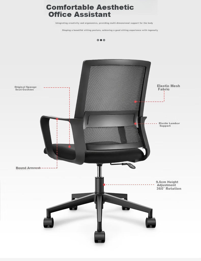 Deli Office Chair Small T, Simple Lumbar Support, Ergonomic Computer Chair, Staff Mesh Chair, 4901T 3