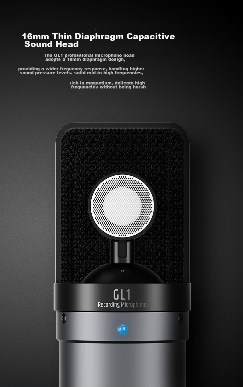 TAKSTAR GL1 Condenser Microphone, Computer Recording And Mobile Phone Live Streaming Sound Card Equipment Set 6
