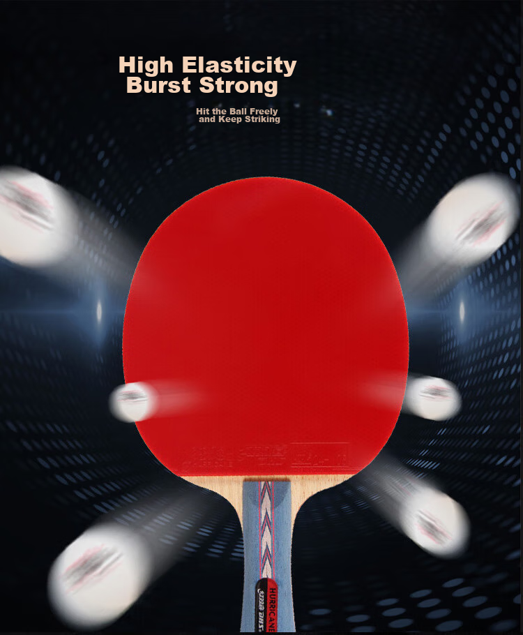 DHS Kuangbiao Gift Box Table Tennis Racket, Penhold Grip No.2, Rosewood Surface, Blue Sponge, Double-Sided Reverse Rubber Table Tennis Paddle 3