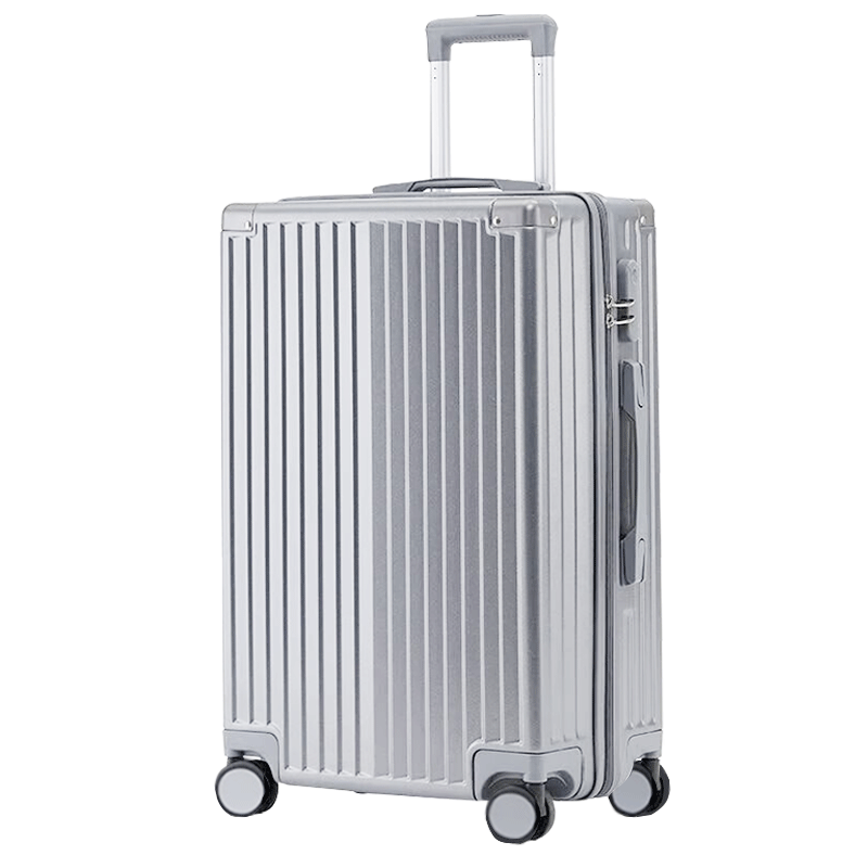 Paul Frank Multifunctional Luggage Suitcase for Men And Women, Large Capacity Trolley Case with Zipper And Combination Lock, Spinner Wheels, Silver-Gray, 26 Inches