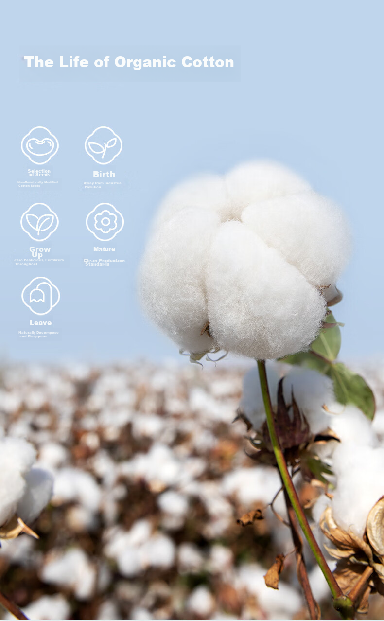 PurCotton [Recommended by Lu Yuxiao], Princess Naisi Comfort Pants, Organic Cotton Sanitary Napkins, Sleep Pants, ML6 Boxes 5