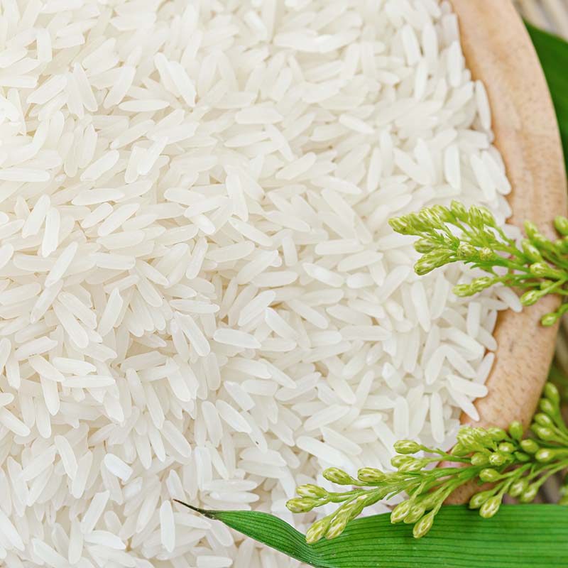 泰金香 甄泰香米 大米5Kg 茉莉香米 长粒米 香米 大米10斤