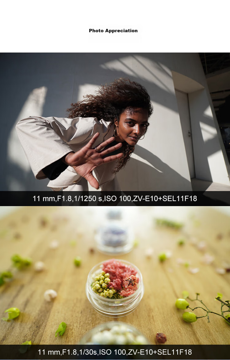 SONY E 11mm F1.8 Ultra-Wide Prime Lens, Compact And Portable, for Vlog Recording And Creative Capture, SEL11F18 13