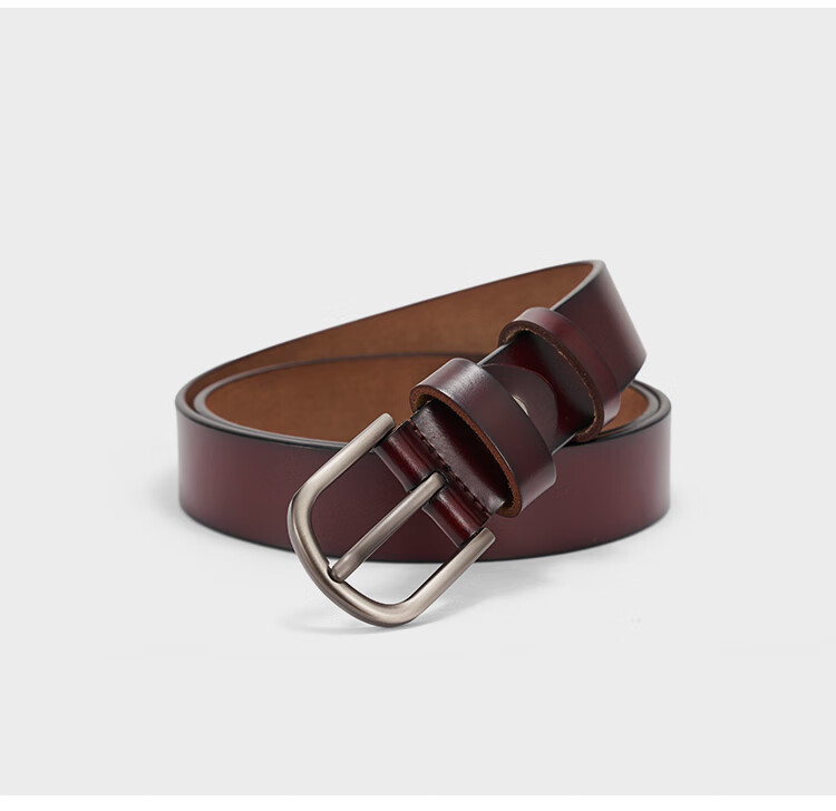 RED DRAGONFLY Leather Women's Casual Versatile Belt with Pin Buckle, No Drilling Required, Birthday Gift for Girlfriend Or Wife, Comes with Gift Box 8