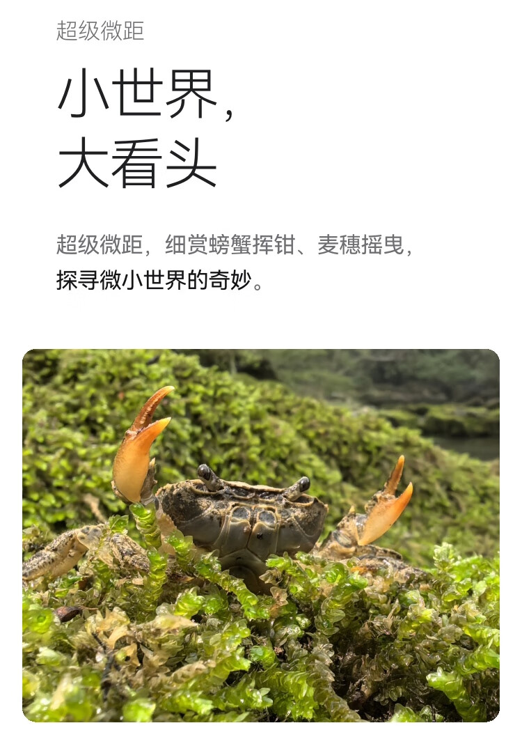 详情图.png