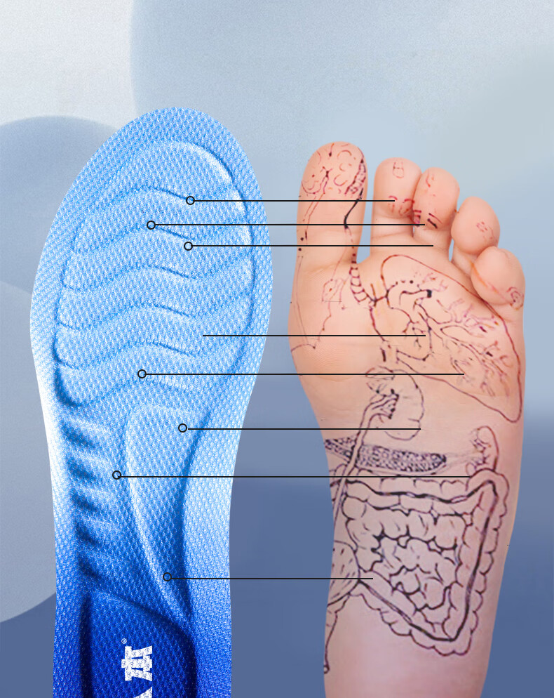 RENBEN Sports Insoles for Men And Women, Soft Cushioning, Shock-Absorbing, Odor-Resistant, Breathable, for Military Training And Long-Standing Comfort, Model 6030, Size 37-38 11