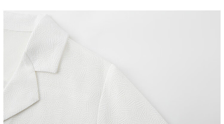 Dme [Low-Key, High-Quality Comfort] Spring And Autumn Suit Collar Long-Sleeve Shirt, Textured Jacquard Blouse, Women's Top 19