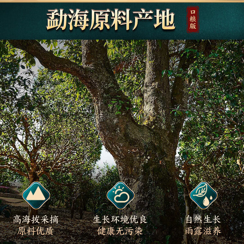 贡苑茶叶普洱茶生茶陈仓云南西双版纳勐海古树紧压生茶茶饼357g自己喝