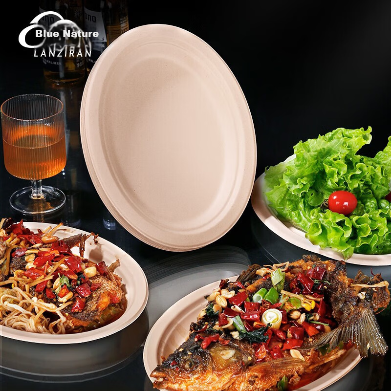 LANZIRAN Disposable Tableware Plates, Large Fish Plates, 20 Pieces, Sugarcane Pulp Paper, Biodegradable, for Group Dining, Barbecue, Picnic, Camping Plates