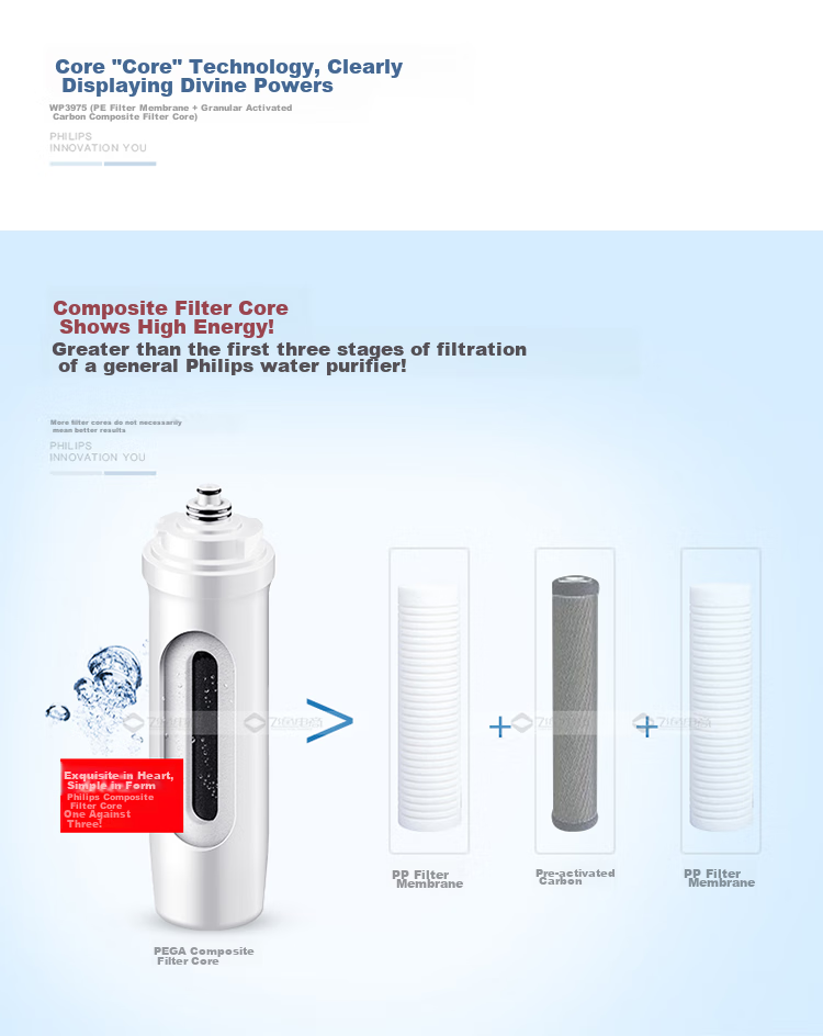 PHILIPS Household Water Purifier Original Activated Carbon Filter Cartridge WP3977/00 (Compatible with Equipment WP4160/WP4186/WP4190/PRO400/PRO500) 10