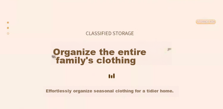 ZUO ZHUAN JIAO Clothes Storage Box, Garment Organizer for Home Use, Closet Box, Storage Solution, Sorting Box, Storage Basket, Set of 2 10