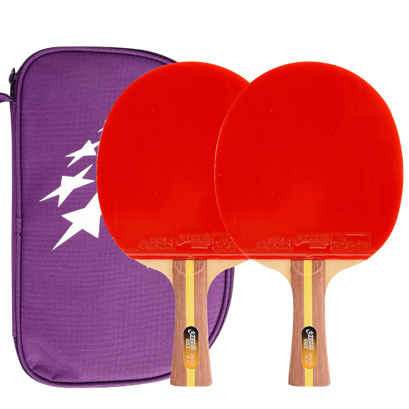 DHS Two-Star Penhold Paddle Set (Fast Shipping from Beijing Warehouse + 6 Balls + Racket Case), Table Tennis Racket H2002 Penhold Double Paddle