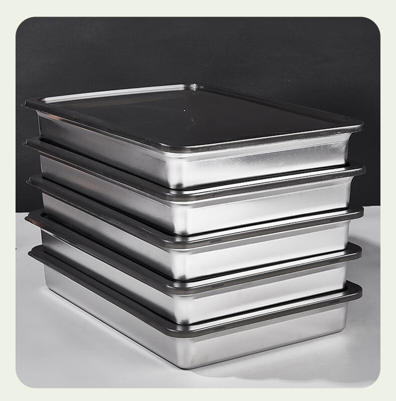 AOmeiyou 304 Stainless Steel Dumpling Box, Home Refrigerator-Specific Frozen Storage Container, Meal Prep Tray for Wonton, 1 Layer with 1 Lid 10