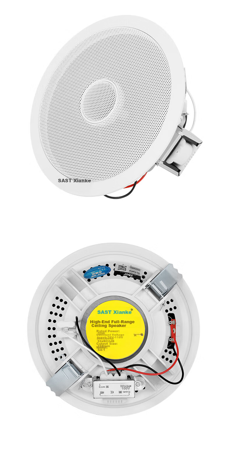 SAST 5-Inch Constant Voltage Ceiling Speaker, Background Music Public Address System, Home Theater High-Fidelity Ceiling-Mounted Speaker S4-1 10