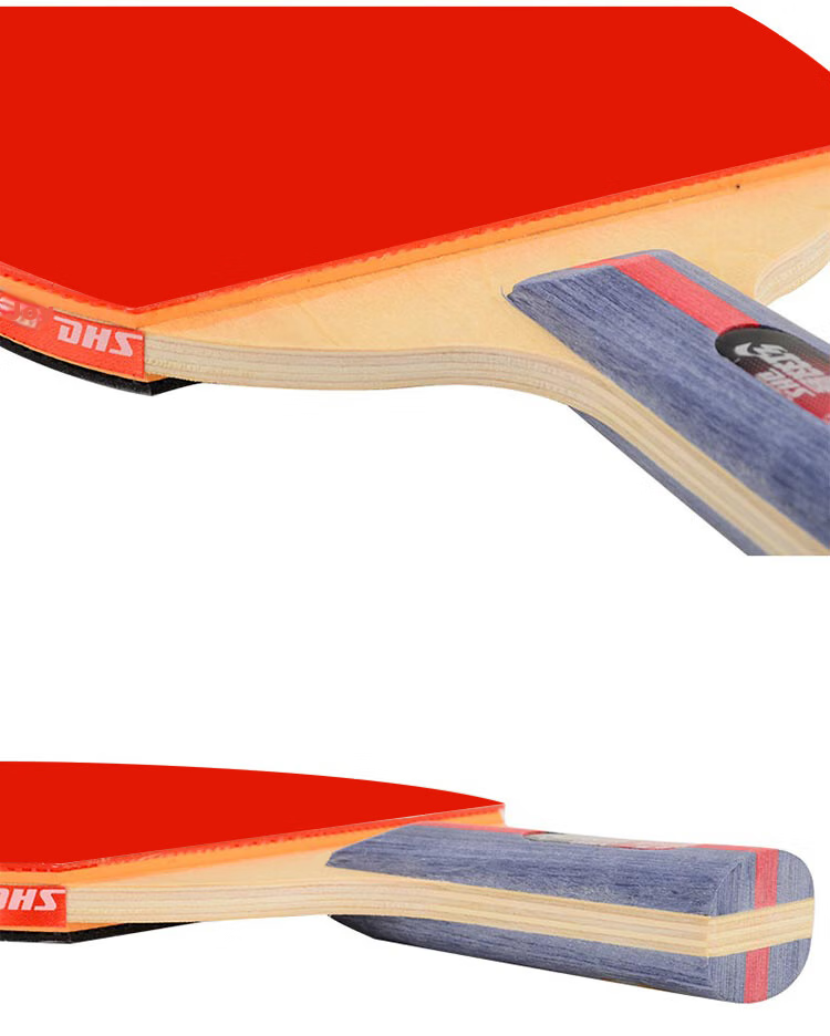 DHS Table Tennis Racket, Two-Star Straight Handle, Single Racket F2006, Includes Racket Case + Ping Pong Ball 7