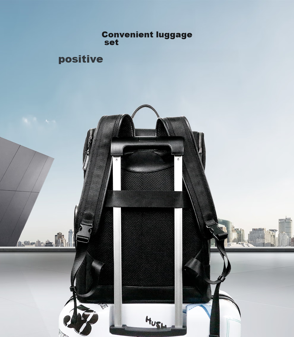 Hush Puppies Business Backpack, Large Capacity Men's Laptop Bag, Multifunctional Birthday Gift for Boyfriend 5
