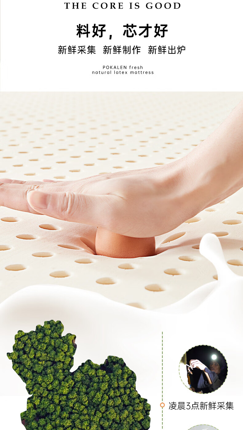 POKALEN Thai Natural Latex Mattress, Made in Thailand, Original Import, 95% Pure Natural High Content 5