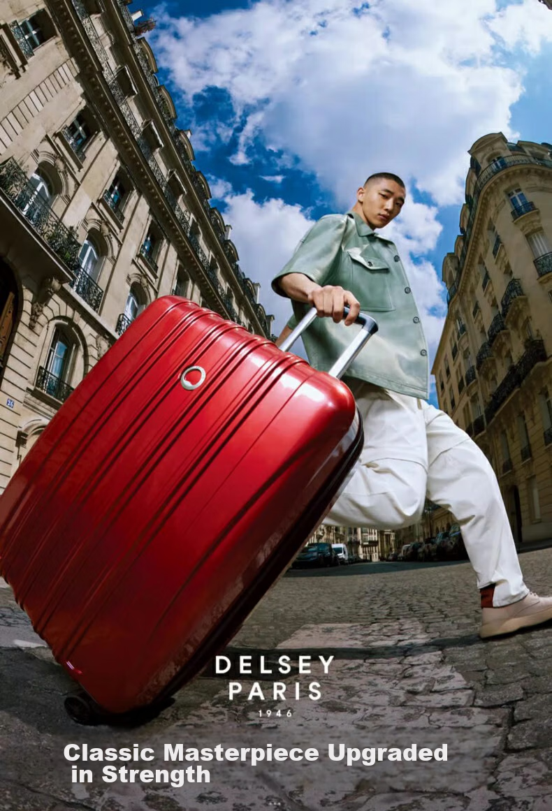 DELSEY Luggage Suitcase, 20-Inch Carry-On, Spinner Wheels, Travel Case with Password Lock 2