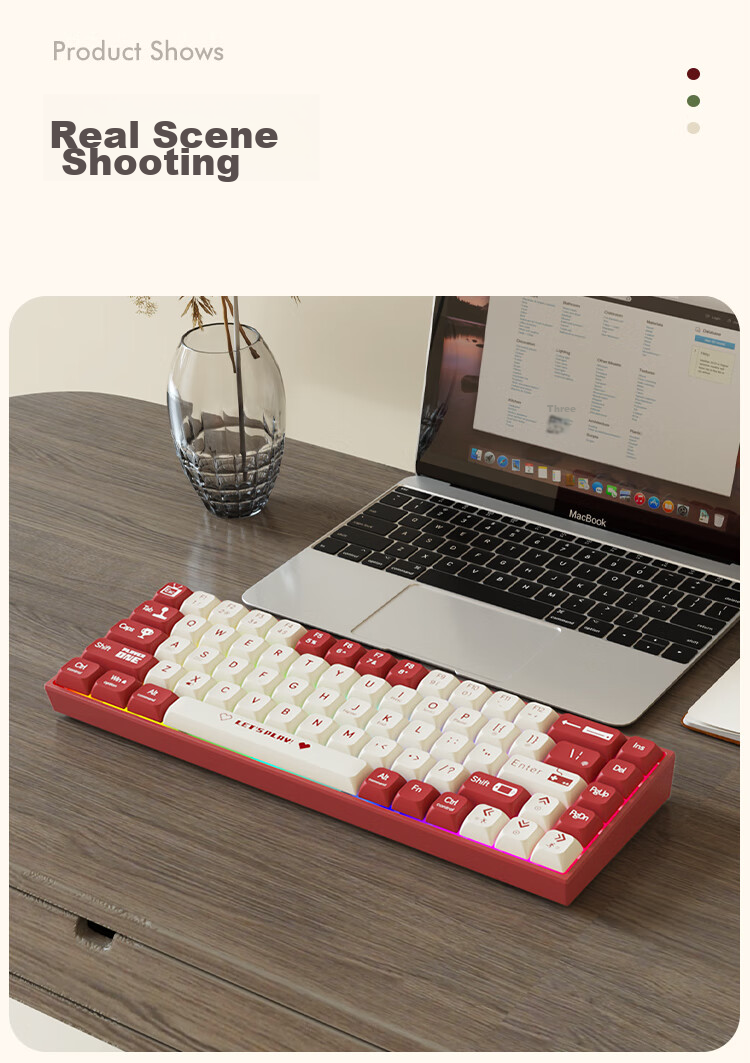 AJAZZ AK680 Wired Mechanical Keyboard, Dual-Color Keycaps, 68 Keys, Full Hot-Swappable, Customizable Mechanical Keyboard, Mixed Colorful Lighting Effects, Portable And Compact, Gray-White, Red Switches 14