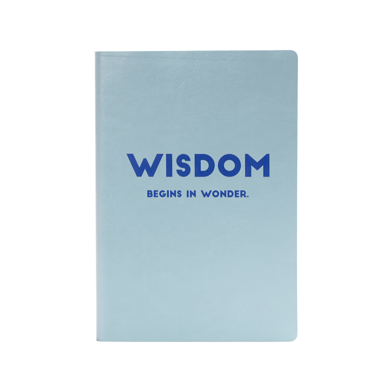 Chenzao Soul Giant Contrasting Color Quote Manual Lined Work Notebook Diary Soft Cover Planner A5 224 Pages - Sea Street Blue