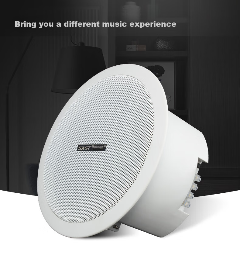 SAST 20W Wireless Bluetooth Ceiling Speaker Set with Built-In Amplifier for Indoor Background Music, Home Living Room, Store Audio System, Conference Broadcast System, Main Speaker 10